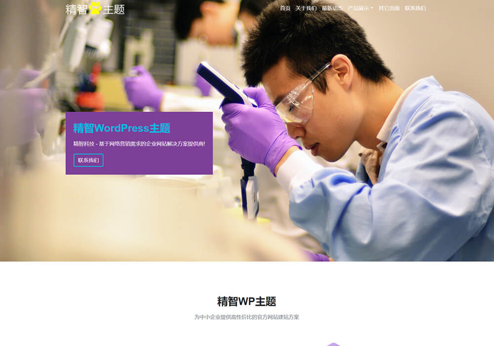 检测公司wordpress模板