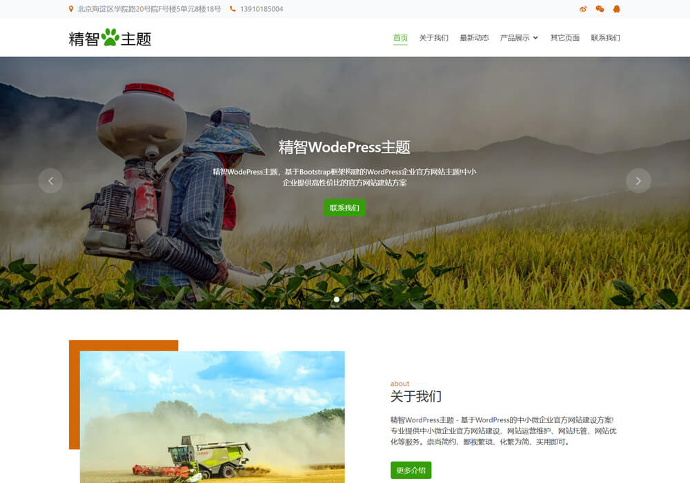 wordpress农药主题