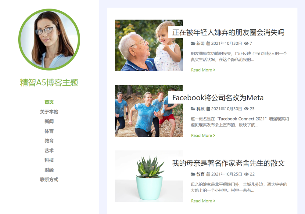 wordpress简站A5博客主题